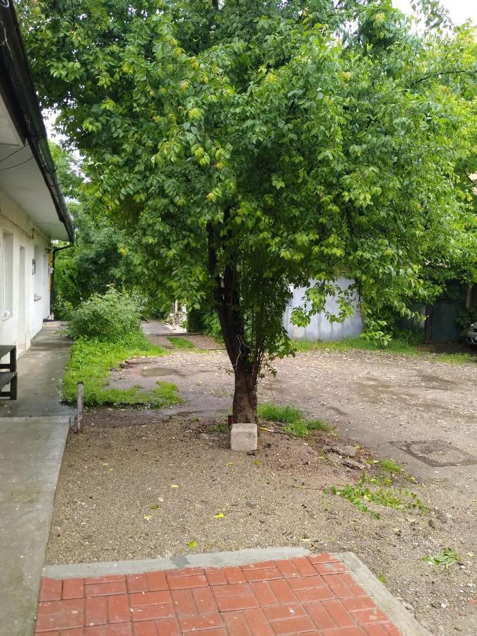 Ferienwohnung Garsoniera In Centru Cluj-Napoca Exterior foto